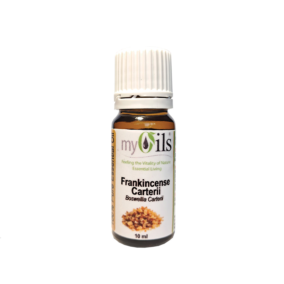 Frankincense Carterii Essential Oil - 10ml