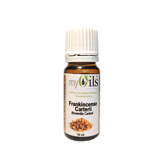 Frankincense Carterii Essential Oil - 10ml