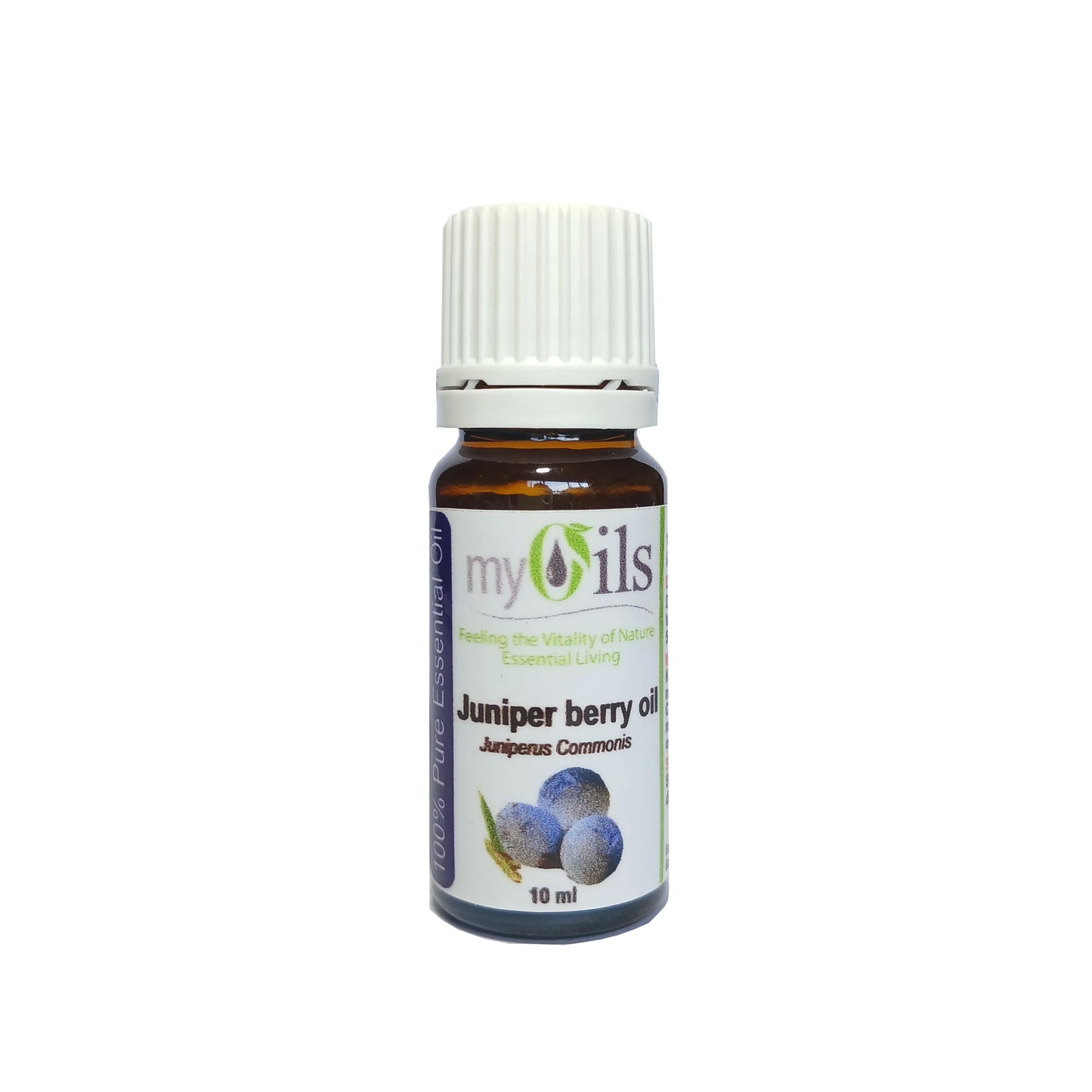 Juniper Berry Essential Oil - 10ml