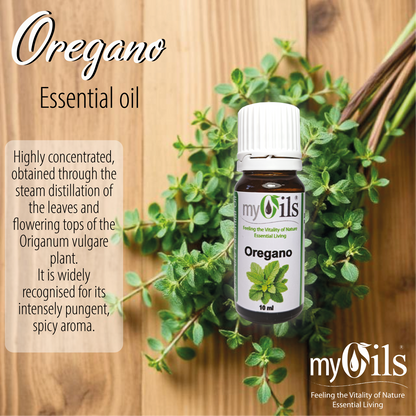 Origanum Essential Oil - 10ml