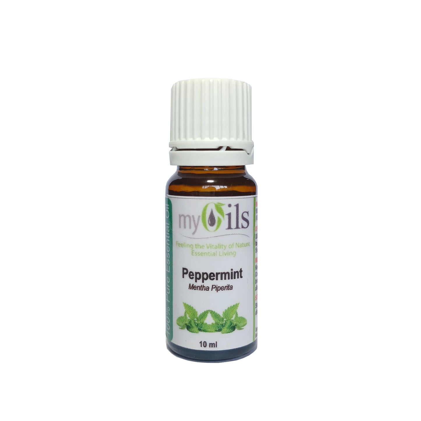 Energy Booster - 100ml Diffuser with Oils