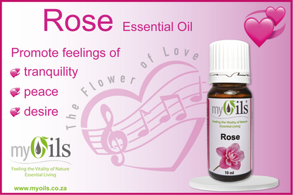 Rose Standardised Natural Oil - 10 ml