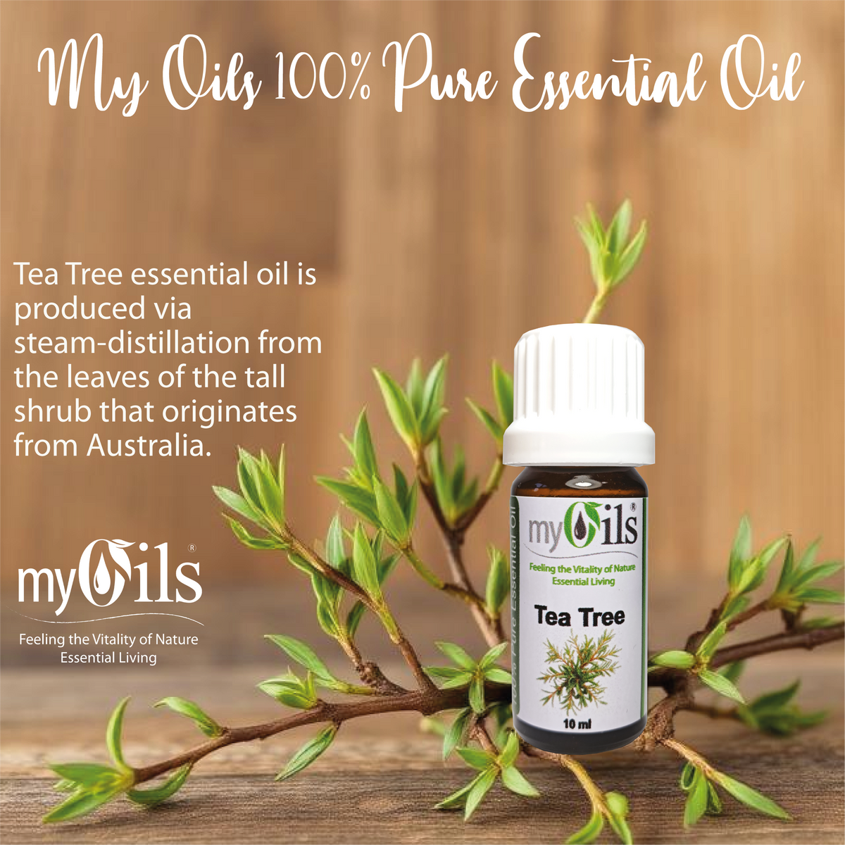 Tea Tree Essential Oil - 10ml