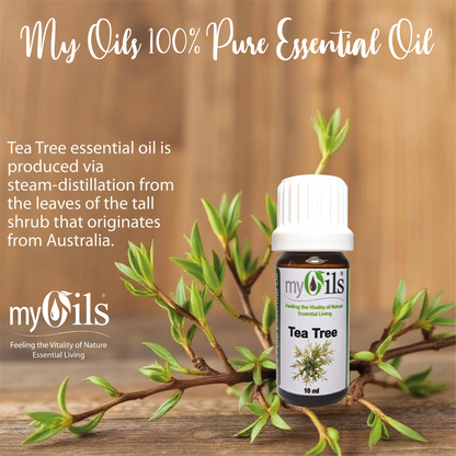 Tea Tree Essential Oil - 10ml