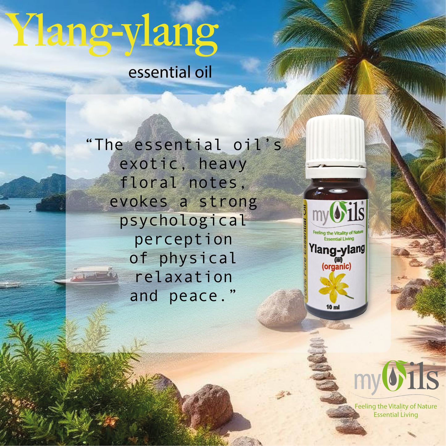 Ylang Ylang (iii) (Organic) Essential Oil - 10ml