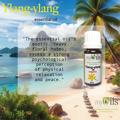 Ylang Ylang (iii) (Organic) Essential Oil - 10ml